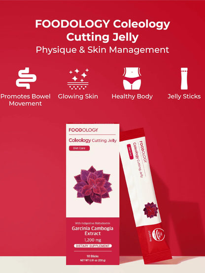 Coleology Cutting Jelly (Pack of 10)