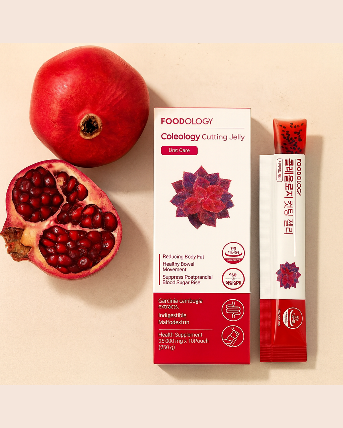 Coleology Cutting Jelly (Pack of 10)