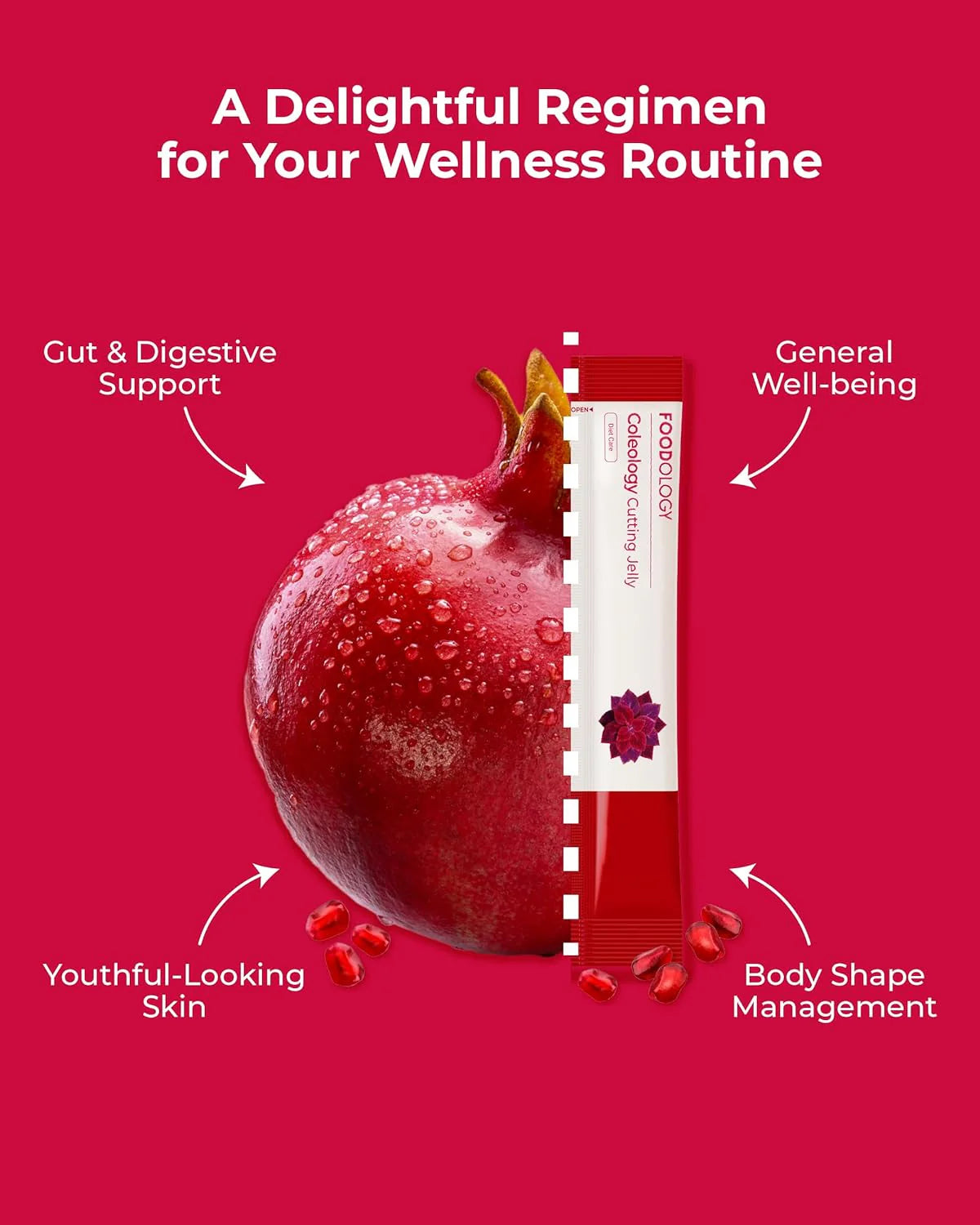 Coleology Cutting Jelly (Pack of 10)